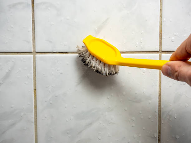 Best Toxic Mold Removal  in Chillum, MD