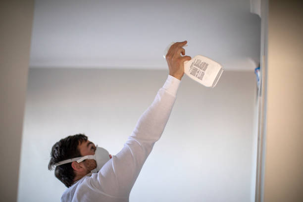 Best Home Mold Removal  in Chillum, MD