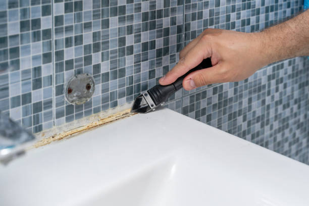 Certified Mold Removal in Chillum, MD
