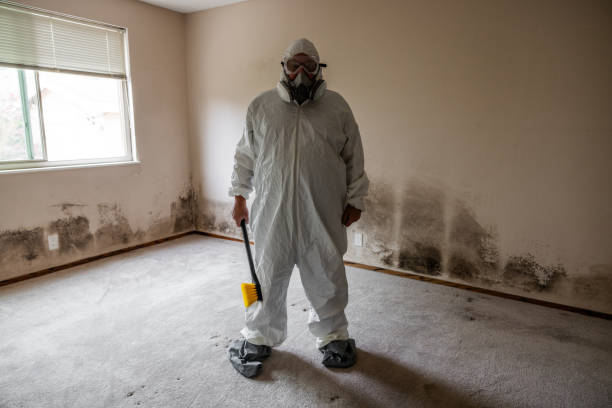 Best Residential Mold Removal  in Chillum, MD